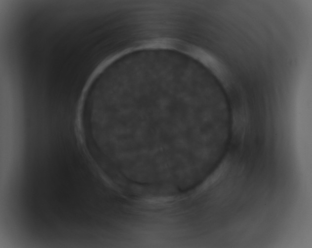 X0000100891184200807081034