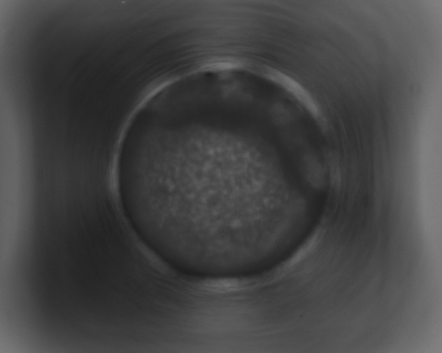 X0000100891186200807081034