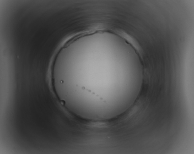 X0000100891187200807081034