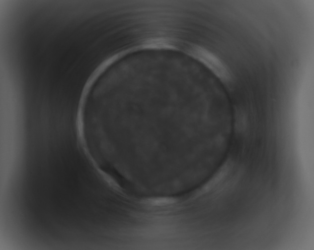 X0000100891188200807081034