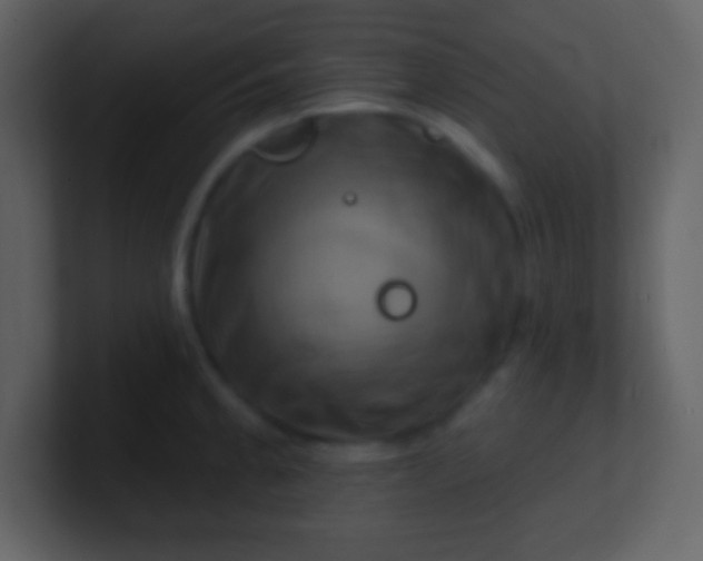 X0000100891189200807081034