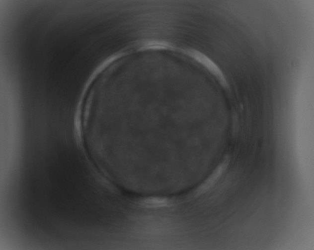 X0000100891190200807081034