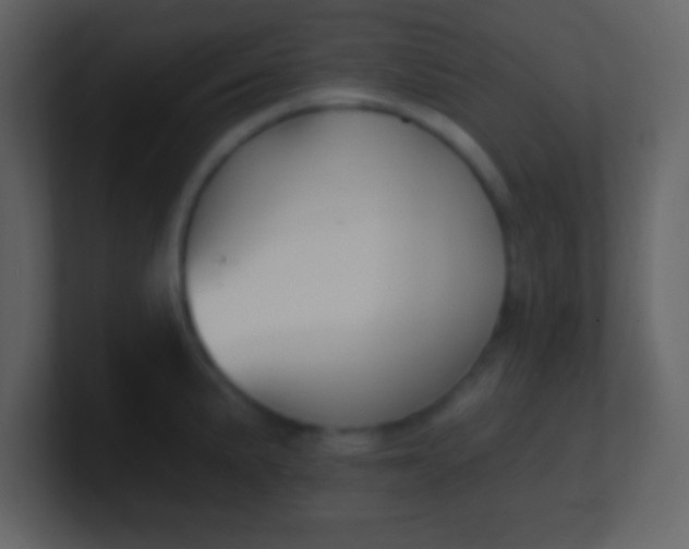 X0000100891191200807081034
