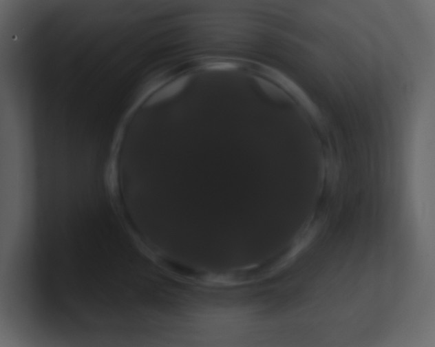 X0000100891194200807081034