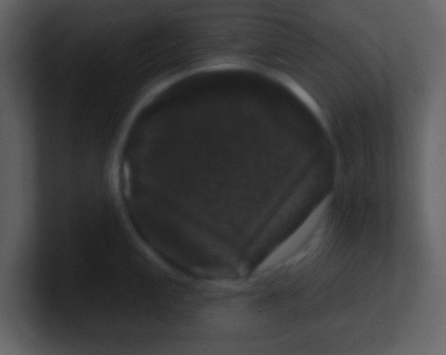 X0000100891197200807081034