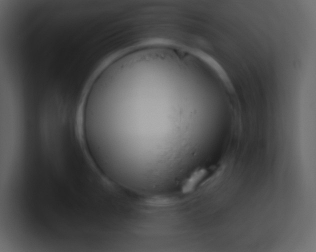 X0000100891199200807081034