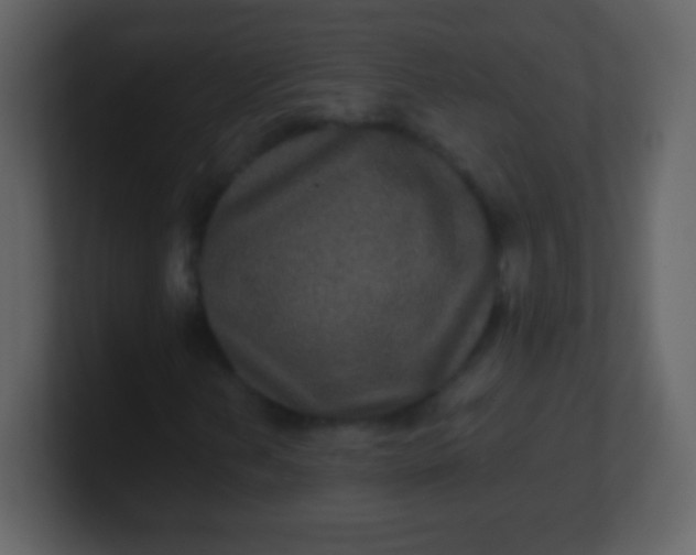 X0000100891202200807081033