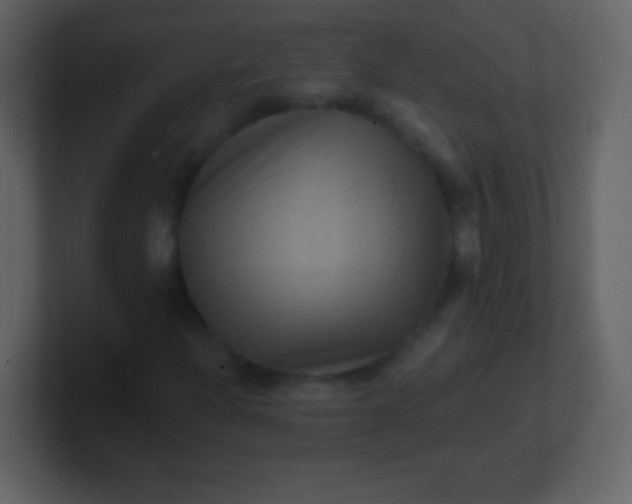 X0000100891204200807081033