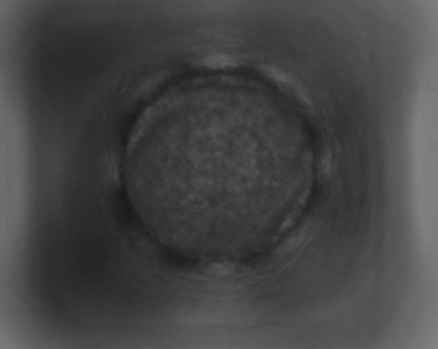 X0000100891205200807081033