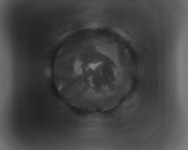 X0000100891206200807081033
