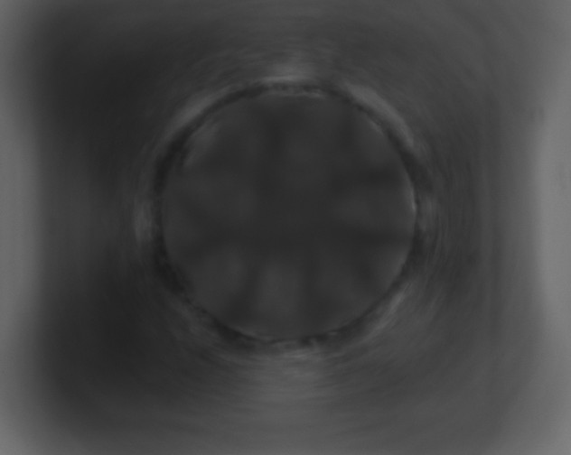X0000100891208200807081033