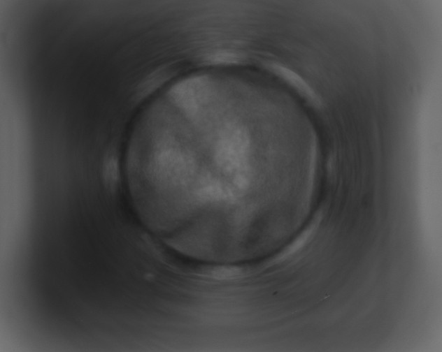 X0000100891209200807081033
