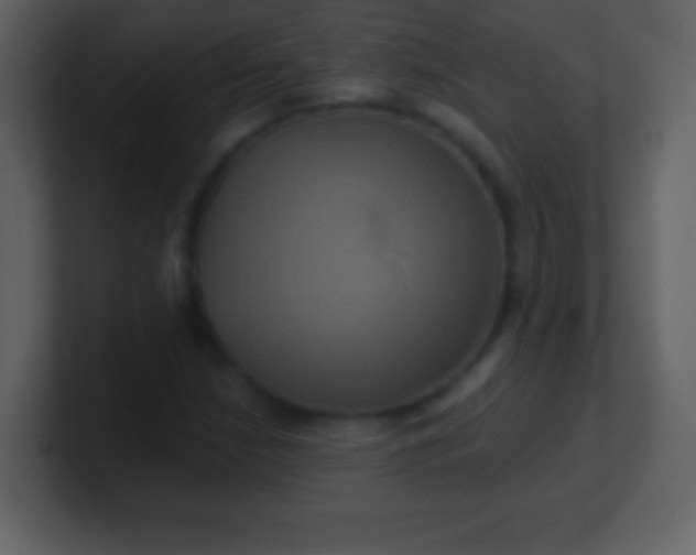 X0000100891210200807081033
