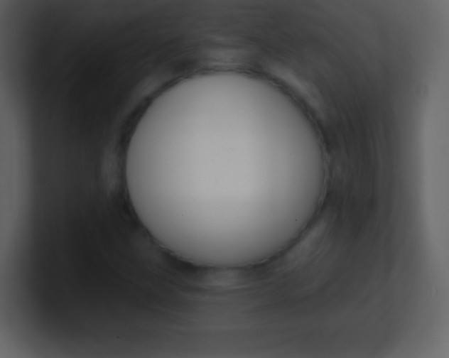 X0000100891211200807081033
