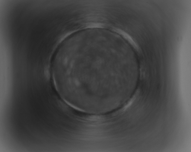 X0000100891212200807081033