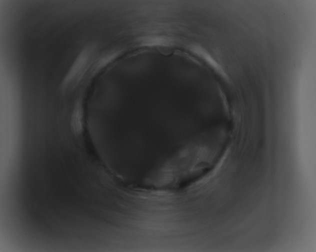 X0000100891213200807081033