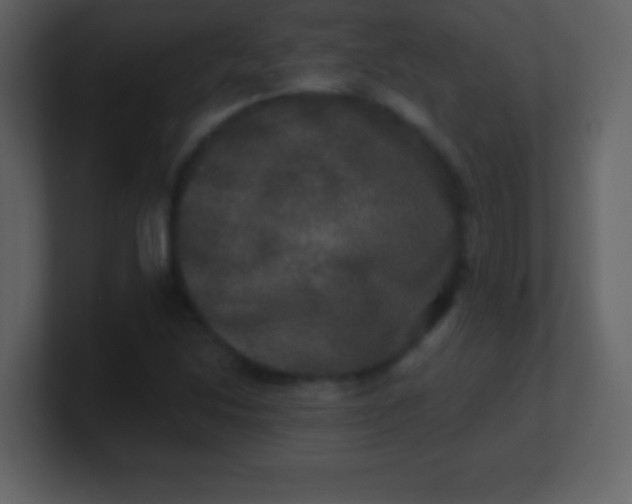 X0000100891214200807081033