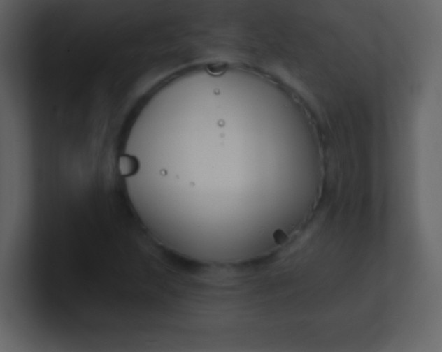 X0000100891215200807081034