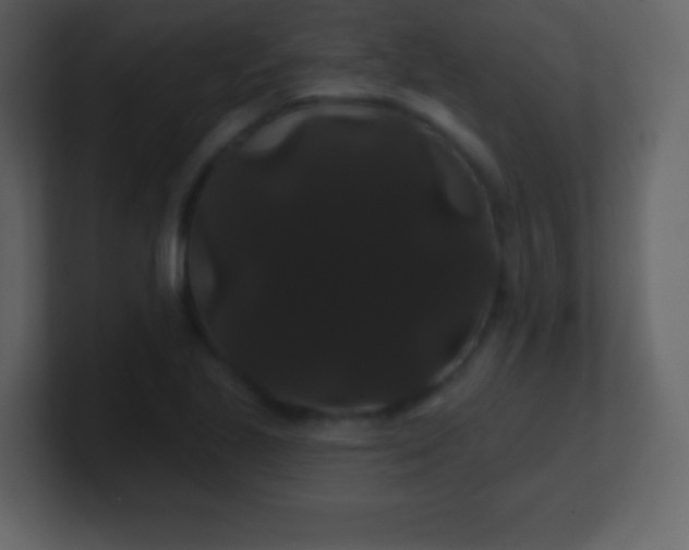 X0000100891221200807081034
