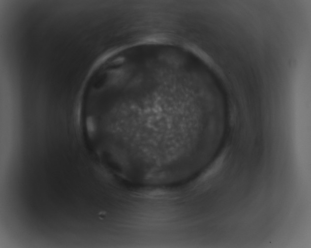X0000100891222200807081034