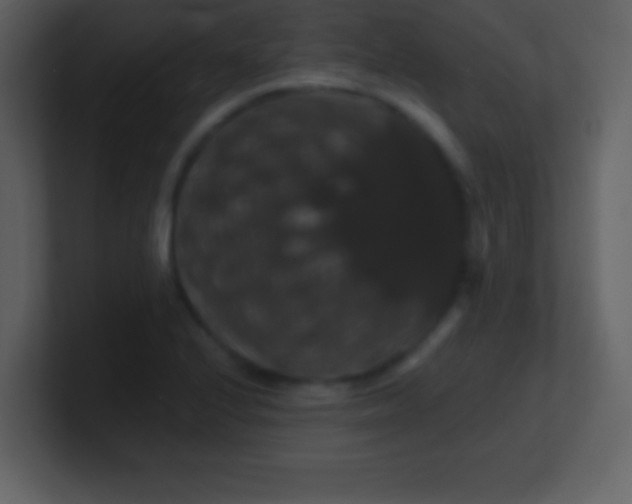 X0000100891224200807081034