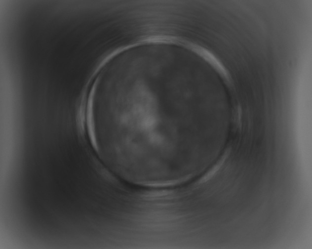 X0000100891228200807081034