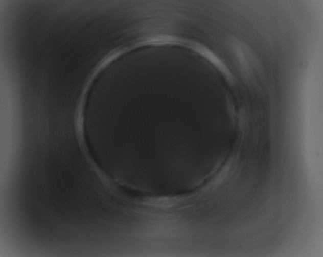 X0000100891229200807081034