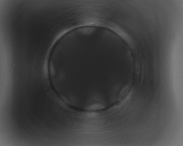 X0000100891230200807081034