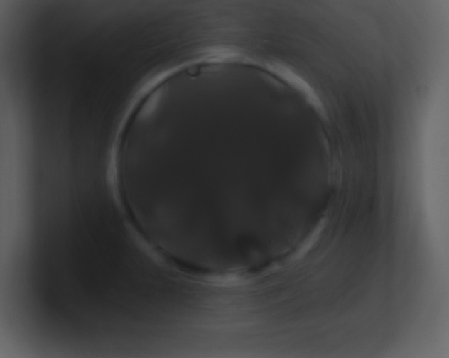 X0000100891231200807081034