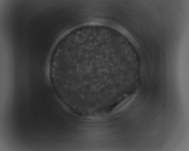 X0000100891232200807081034