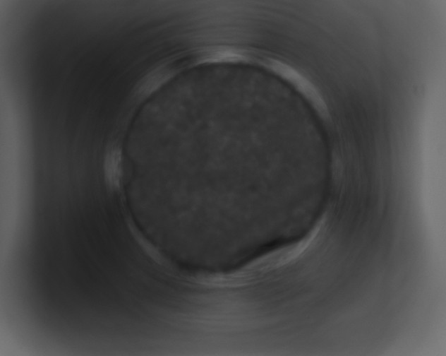 X0000100891233200807081034