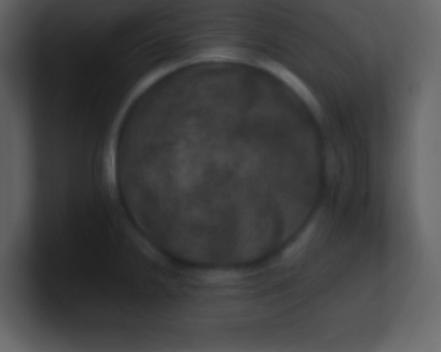 X0000100891238200807081034