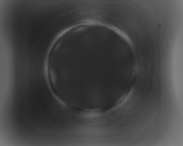 X0000100891239200807081034