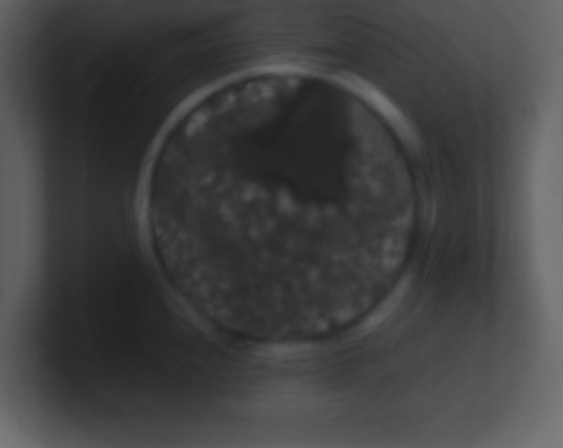 X0000100891240200807081034