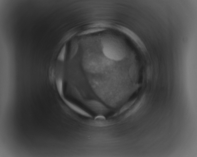 X0000100891241200807081034