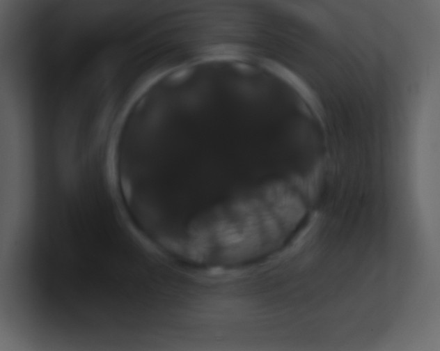X0000100891243200807081034