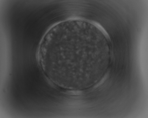 X0000100891244200807081034