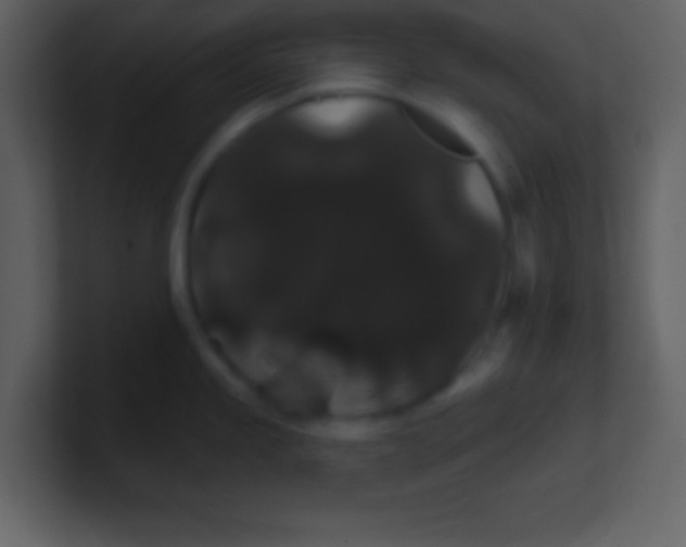 X0000100891245200807081034