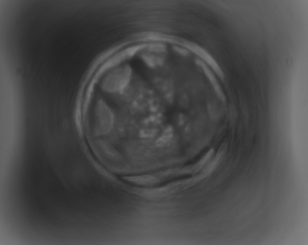 X0000100891247200807081034