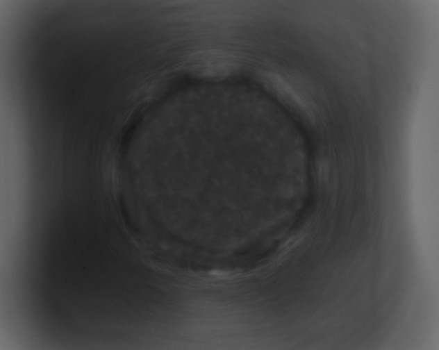 X0000100891250200807081033