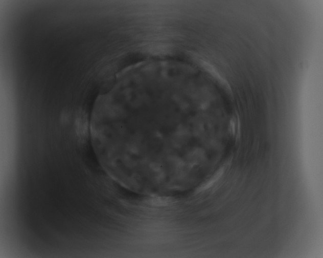 X0000100891251200807081033