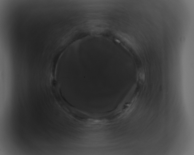 X0000100891252200807081033