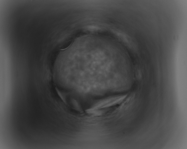 X0000100891253200807081033