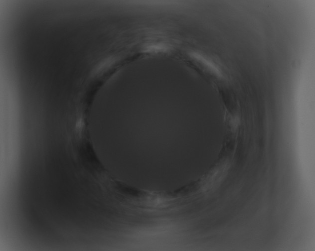 X0000100891254200807081033