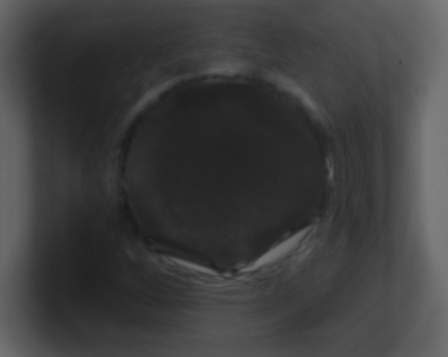 X0000100891256200807081033