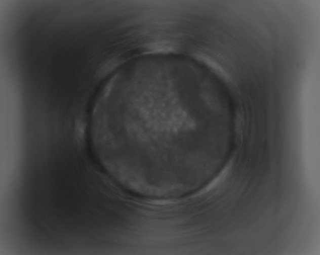 X0000100891257200807081033