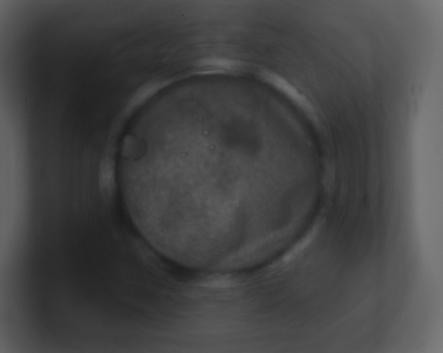 X0000100891259200807081033