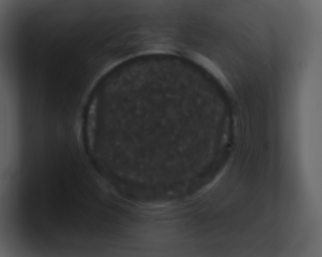 X0000100891260200807081033
