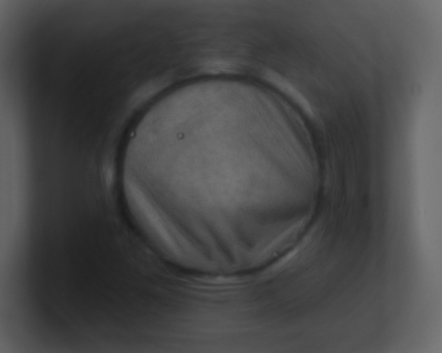 X0000100891261200807081033