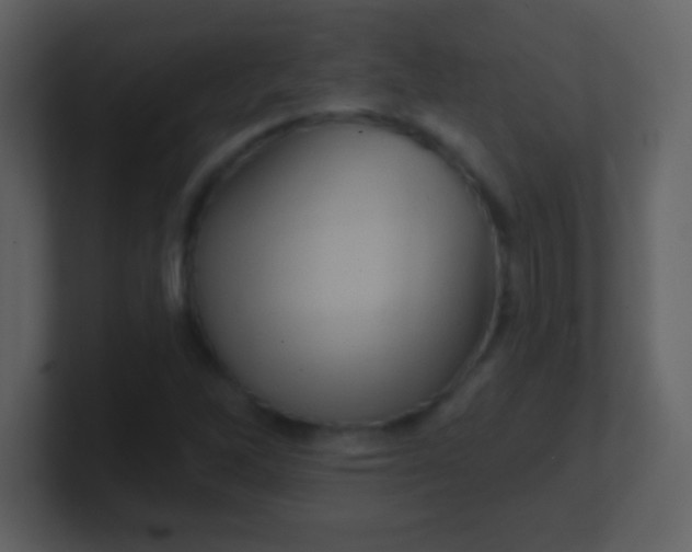X0000100891262200807081033